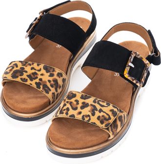 Ara Plateausandaletten ARA MALAGA, Damen, Gr. 35, bunt (schwarz, leo), Veloursleder, Schuhe Plateausandaletten, Plateausandale, Klettschuh in Bequemweite 