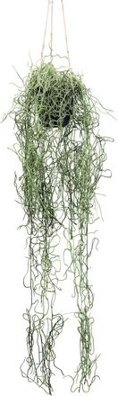 Creativ Green Kunstpflanze