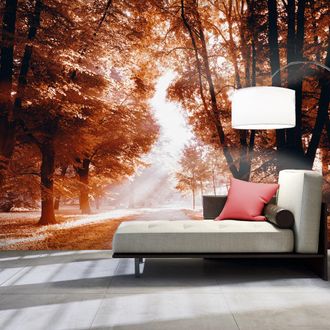 Artgeist Fotomurale - Autumn Park - 400x280