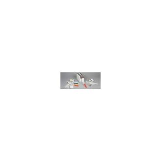 Zebra Wristband Polypropylene 1x11in (25
