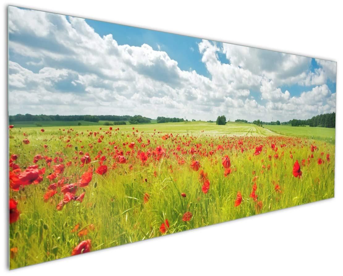 Wallario Outdoor Poster – Grüne Wiese Mit Mohnblumen, 80 X 120 Cm, Wetterfest