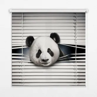 Tulup Tenda A Rullo Interna Per Finestra - Tenda Filtrante Luce - Tenda Privacy - Tenda Decorativa Rettangolare - Rullo Per Interni - (100 Cm X 140 Cm) - Pa