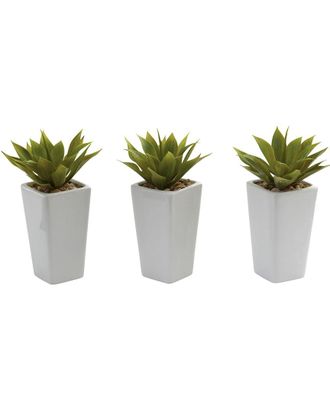 Nearly Natural Set Of 3 White Mini Agaves With Planters