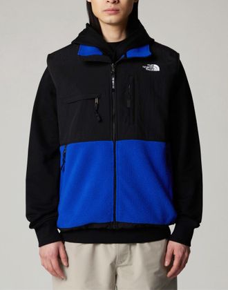 The North Face Mens Retro Denali Vest Jacket Blue Clothing > Coats &