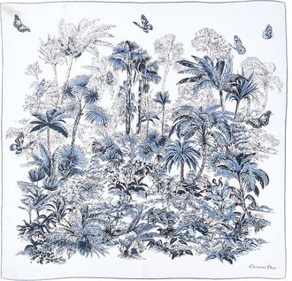 Dior Silk Scarf
