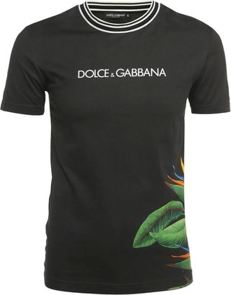 Dolce & Gabbana T-shirt con stampa Bird of Paradise - Nero