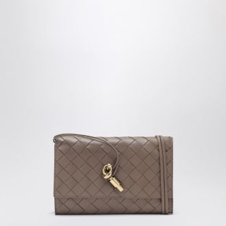 Bottega Veneta Andiamo pouch in beige Pinecone