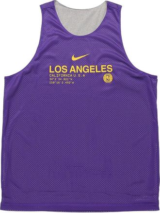 Nike NBA Los Angeles Lakers Reversible Basketball Jersey/Vest Gray Purple CN0717-504