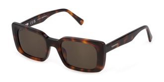 Sting SST477 09JC Mens Sunglasses Tortoiseshell Size 51