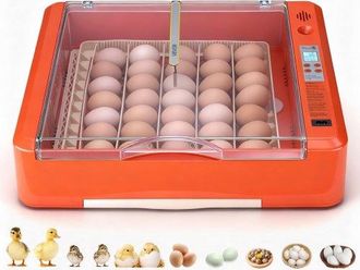 OEM Incubadora De 36 Huevos, Volteadora Autom&aacute;tica Con Indicador Led Y Bandeja De Agua, Control De Temperatura Y Humedad, Ventana Transparente 360&deg;, Para 