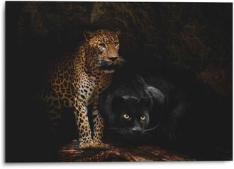 Reinders Wandbild »Aluminium Wandbild Raubtiere Panther - Cougar - Katzen - Höhle« Wildtiere 1 Stk. tlg