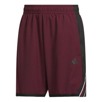 adidas Crazy Lite Shorts Asia Sizing Team Power Red 2 KV9681