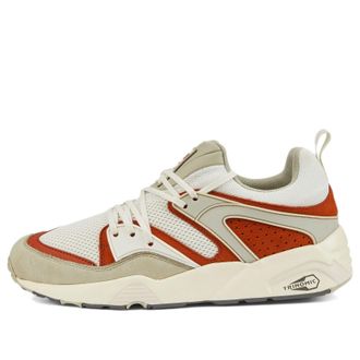 Puma Blaze Of Glory Vaporous Grey Warm Chestnut 387575-03