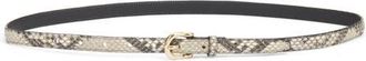 Frame Denim The Petite Square Buckle Snakeskin Embossed Leather Belt in Sand Multi at Nordstrom, Size Medium