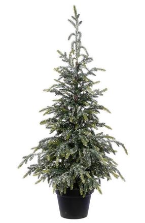 Mark Roberts Evergreen Potted Tree at Nordstrom