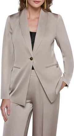 DKNY Shawl Collar Jacket in Turin at Nordstrom, Size 12