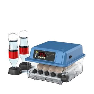 OEM Incubatrice Per Uova, Controllo Automatico Della Temperatura, Design Intuitivo, 24 Uova