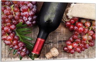 OEM Placa Protectora De Vidrio Para Estufa 80x52 Vino