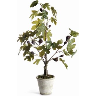 Napa Home & Garden Fig Tree With Figs Potted Drop-In 34 in Green at Nordstrom