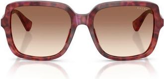 Ralph Lauren 56mm Gradient Square Sunglasses in Shiny Purple Havana /Brown at Nordstrom