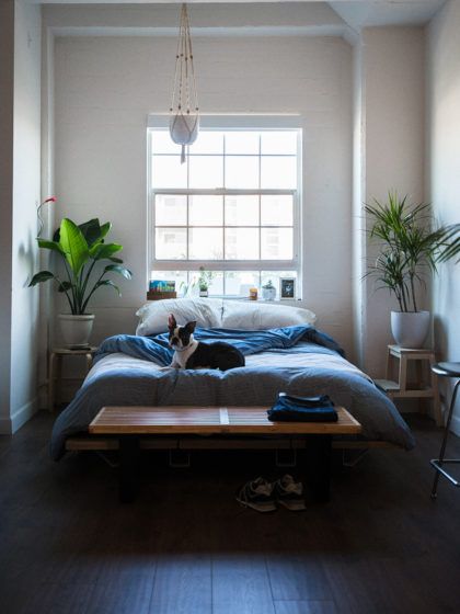 Pieces that will make your home more Instagram friendly