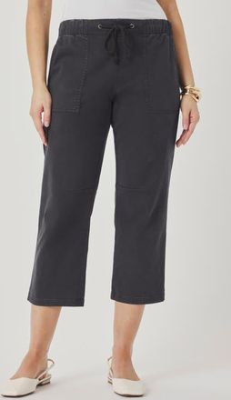 Splendid Regina Crop Pants in Lead Grey at Nordstrom, Size X-Small