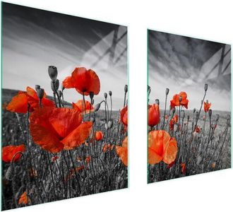 OEM Placa Protectora De Vidrio Para Estufa 85x52 Maki