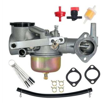 OEM Carburador De Motor Serie 191700 192700 193700 Reemplazo 390811 392152 491029 491590-crezuo