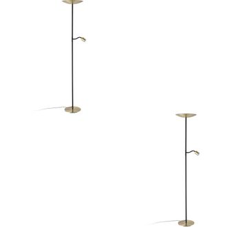 Loops 2 PACK Stylish Brushed Brass & Black LED Floor Lamp for Indoor Space