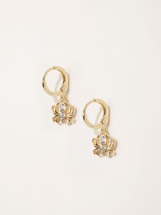 Fat Face FatFace Spider Earrings in Gold Tone