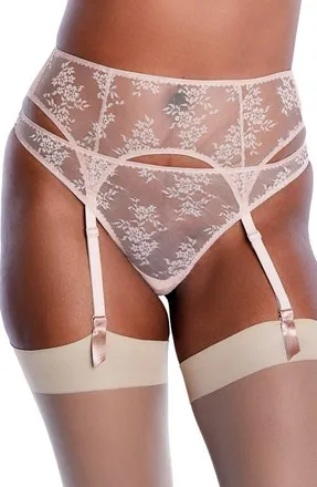 Journelle Romy Lace Suspender Belt in Amande at Nordstrom, Size X-Small