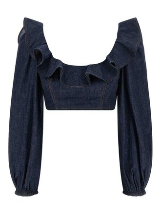 Zimmermann aster top