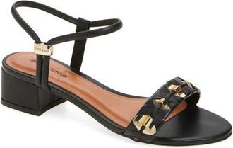 Bottero Elsa Ankle Strap Sandal in Preto at Nordstrom, Size 10