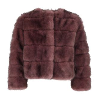 DIEGO M Bomber Animalier con Lavorazione ad Intarsio - - Jackets - Donna - Viola - M