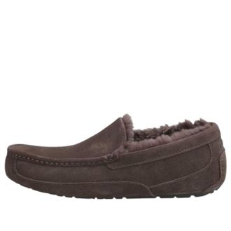 UGG Ascot Slipper Dusted Cocoa 1101110-DDC