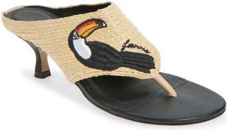 Farm Rio Icons Raffia Kitten Heel Slide Sandal in Tucan Black at Nordstrom, Size 6.5