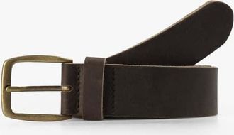 Scalpers skull stripes belt in brown