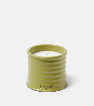 Loewe Candela profumata Pistachio piccola