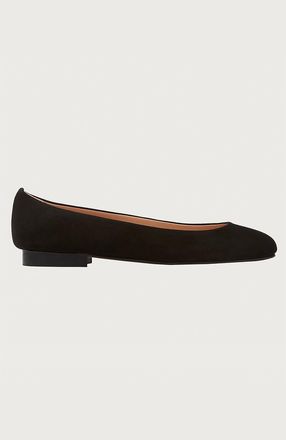andrea carrano Baby Ballet Flat in Black Suede at Nordstrom, Size 37.5