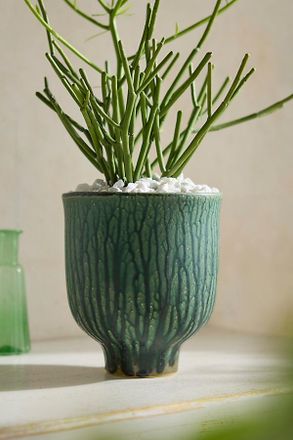 Terrain Drippy Ceramic Tulip Planter, 7