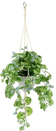 I.GE.A. Kunstpflanze