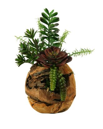 D&W Silks Jade Plant, Aloe, Echeveria And Mini Dracaena In Wooden Root Ball Planter