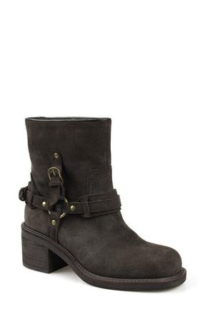 Candie's Fridda Moto Bootie in Brown at Nordstrom, Size 11