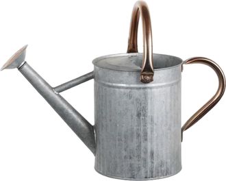 OEM Regadera De Acero Inoxidable: 5 L/1,3 Galones, Dise&ntilde;o De Metal Resistente A La Corrosi&oacute;n Con Boquilla Extra&iacute;ble Y Doble Asa Para Plantas De Interior Y