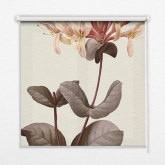 Tulup Tenda A Rullo Interna Per Finestra - Tenda Filtrante Luce - Tenda Privacy - Tenda Decorativa Rettangolare - Rullo Per Interni - (150 Cm X 140 Cm) - Fi