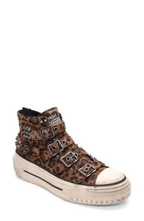 Ash Rainbow Studs High Top Platform Sneaker in Wild Brown at Nordstrom, Size 5Us