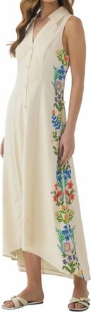 Hutch Florantina Maxi Dress In Beige