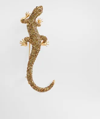 Dolce & Gabbana Lizard Brooch - Man Bijoux Orange Metal Pz