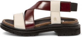 The Art Company Womens Birmingham Sandal In Burgandy And Cream