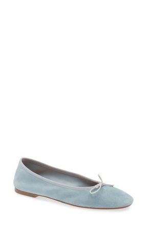 Aeyde Tiby Ballet Flat in Glass at Nordstrom, Size 12Us